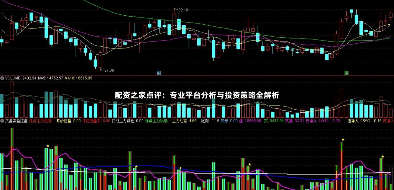 配资之家点评：专业平台分析与投资策略全解析
